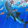 Whale Shark Underwater paint by numbers