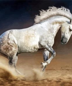 White Andalusian Horse paint by number