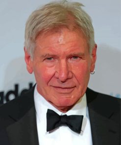 Actor Harrison Ford Celebrity paint by numbers