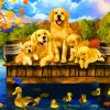 Adorable Dogs And Ducks paint by numbers