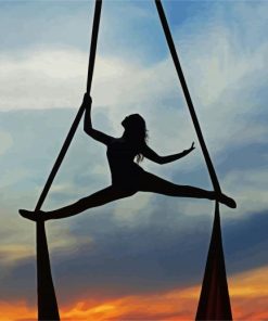 Aerial Ribbon Dancer Silhouette paint by number