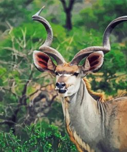Kudu Animal paint by numbers