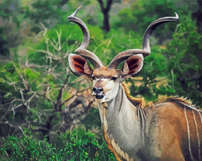 Kudu Animal paint by numbers