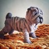 Aesthetic Sharpei paint by number