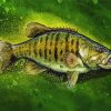 Smallmouth Fish Illustration paint by numbers