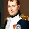 Napoleon Art paint by numbers