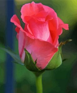 Pink Rosebud paint by numbers