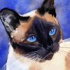 Aesthetic Siamese Cat Illustration paint by number