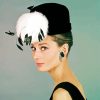 Breakfast At Tiffanys Audrey Hepburn paint by numbers