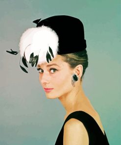 Breakfast At Tiffanys Audrey Hepburn paint by numbers