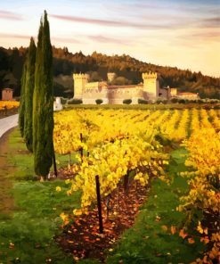 Castle Vineyard Napa Valley paint by numbers