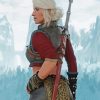 Ciri Witcher paint by number