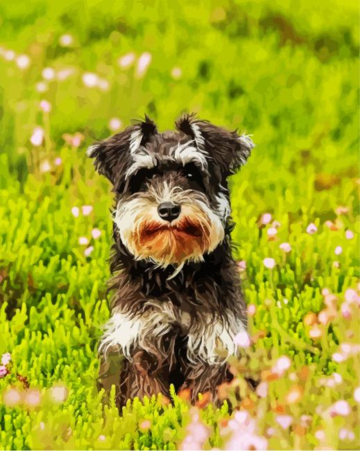 Cute Schnauzer paint by number