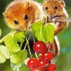 Cute Mice paint by numbers