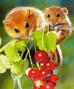 Cute Mice paint by numbers