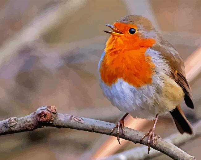 Cute Robin Bird paint by number