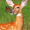 Doe And Monarch Butterfly paint by number