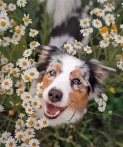Dog And Flowers paint by number