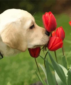 Dog Smelling Red Flowers paint by number