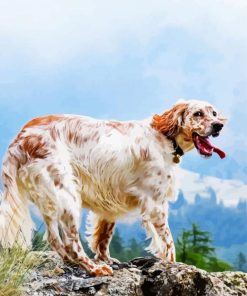 English Setter Dog Breed paint by number