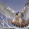 Flying Grey Falcon paint by numbers