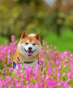 Happy Shiba Inu paint by number