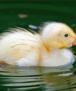 Aesthetic Baby Indian Runner Duck paint by number