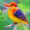 Oriental Dwarf Kingfisher Bird Art paint by numbers