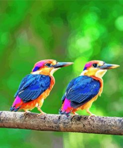 Two Dwarf Kingfisher Birds paint by numbers