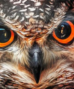 Owl Eye paint by numbers