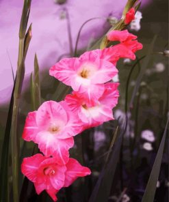 Pink Gladiola Plants paint by numbers