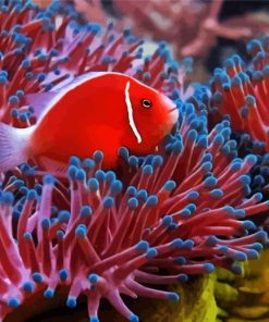 Red Fish Between Anemones paint by number