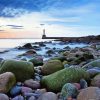 Rocky Beach Aberdeen paint by numbers