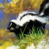 Skunk Animal paint by number