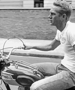 Steve Mcqueen Black And White paint by numbers