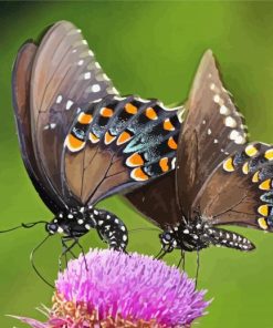 Swallowtail Butterflies paint by numbers