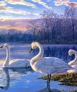 Swans On Lake paint by number