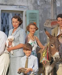 Teh Comedy Drama The Durrells paint by numbers