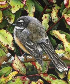 The New Zealand Fantail Bird paint by numbers