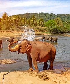 The Elephant By The River paint by numbers