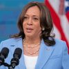 Vice President Of The United States Kamala Harris paint by number