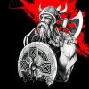 Viking Art Illustration paint by number