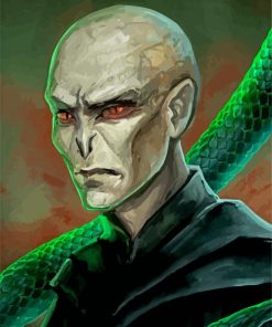 Voldemort Illustration paint by number