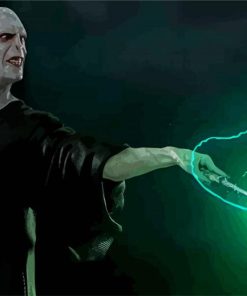 Voldemort paint by number