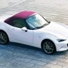 White Mazda MX 5 Miata paint by number