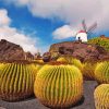 Windmill Lanzarote paint by numbers