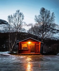 A Norwegian Cabin paint by numbers