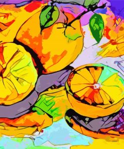 Abstract Oranges Modern Food Art paint by number