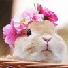 Adorable Rabbit With Flower Wreath paint by numbers