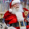 Santa With Puppies paint by numbers